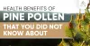 10 Health Benefits of Pine Pollen That You Did Not Know About