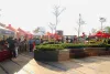 Holi Event Organisers in Gurgaon