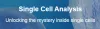 Single Cell Omics for CNAS