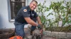 Coral Springs Pipe Relining Services