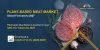 Plant-Based Meat Market Size, Analysis, Forecast [Latest]