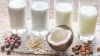 Rising Lactose Intolerance Stimulates Growth of Plant-Based Beverages - vegconomist - the vegan business magazine