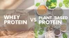 Plant Based Protein Vs Whey Protein: Which One Is Better?