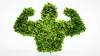 Plant Extracts Market: Market Dynamics - vegconomist - the vegan business magazine