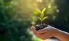 5 Ways to Participate on World Environment Day | Melbourne Fresh Flowers
