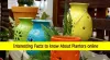 Planters Online 