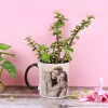 Potted Plants Online 