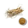 pleurisy root powder, pleurisy root, pleurisy root benefits, bulk pleurisy root powder, top pleurisy root powder, pleurisy root powder uses