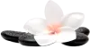 My Le Spa - Full Body to Body Massage Parlour in Faridabad | B2B Spa