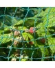 Buy Garden Netting, Garden Fleece &amp; Frost Protection Products - United Kingdom