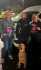 Safehaven anti-violence campaign ahead of International Women's Day
