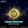 Polkadot Development Services