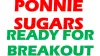 Ponni Sugars Erode LTD