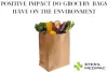 What Positive Impact Do Grocery Bags Have on The Environment?