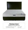 Best Coil Spring Mattress