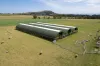 Poultry Farming: Poultry Housing and Equipment