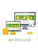 PPC Services in California | PPC Agency New York | Zionstek