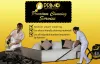 Premium Cleaning Services in Dubai | Premium Maid Services