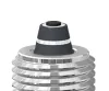 Find Our Spark Plugs as the Best Racing Gears in Singapore – SG Racing