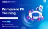 Does Primavera Have a Bright Scope Ahead? - Hipotency