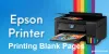 Why is my Epson printer printing blank pages - Go Errors