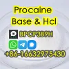 PROCAINE