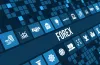 Process of Investment in Forex Exchange Trading - 70trades