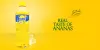 Find the Best Seller Ananas Drink Juice Manufacturer Brand in Congo, Africa