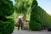 Landscape Services in Vancouver Improve the Look of Your Home