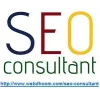 SEO Consultant: Top Google Ranking by Best SEO Consultants in India