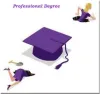 Detailed About Professional Degrees