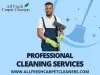 Flooded? Stone Mountain's Restoration Specialists to the Rescue!
