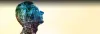 BITSoM | 2 Year MBA Programme Curriculum