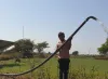 Solar Water Pump - Mahindra Solarize