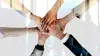 Project management collaboration tools