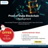 Proof of Stake Development solutions