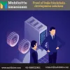 Proof of Stake Blockchain Development Services