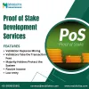 Proof of Stake Development Solution