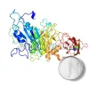 bulk aspergillus, bulk aspergillus powder, protease acid stable supplier