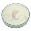 Protein Hydrolysate Powder - Manufacturer & Suppliers | Titan Biotech Ltd