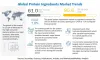 Protein Ingredients Market Size, Share, and Forecast [Latest]