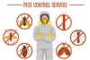 Why You Should Use Pest Control Services - Safe Havens Enterprises