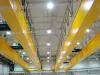 Puente Grúa 10 Toneladas - Ellsen Fabricante De Grúas