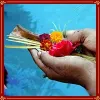  Narayan Nagbali and Narayan Bali Puja at Trimbakeshwar 