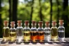 5-stars-reviews.com -