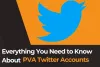 Everything You Need to Know About PVA Twitter Accounts
