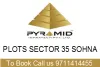 pyramid plots sohna