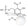 pyridoxal phosphate, pyridoxal 5 phosphate, best vitamin powder, pyridoxal 5 phosphate uses, vitamin wholesale, 