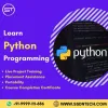 Top Business Benefits To Choose Python - Geek Bloggers