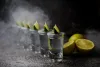 Discovering Chopin Vodka: A Tribute to Polish Craftsmanship | TheAmberPost
